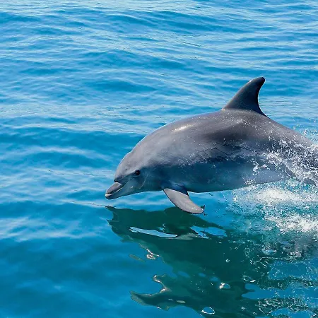 Cozy Townhouse Rafaella Near Sao Rafael Αλμπουφέιρα